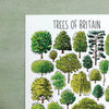 Alexia Claire | Trees of Britain | Postcard | Conscious Craft